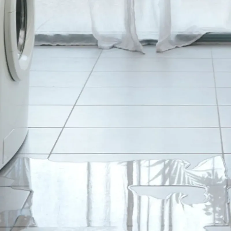 Appliance Leak Cleanup in Marion, AL