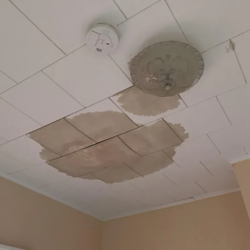 Ceiling Water Damage Repair in Marion, AL